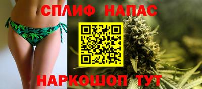 шишки Нальчик