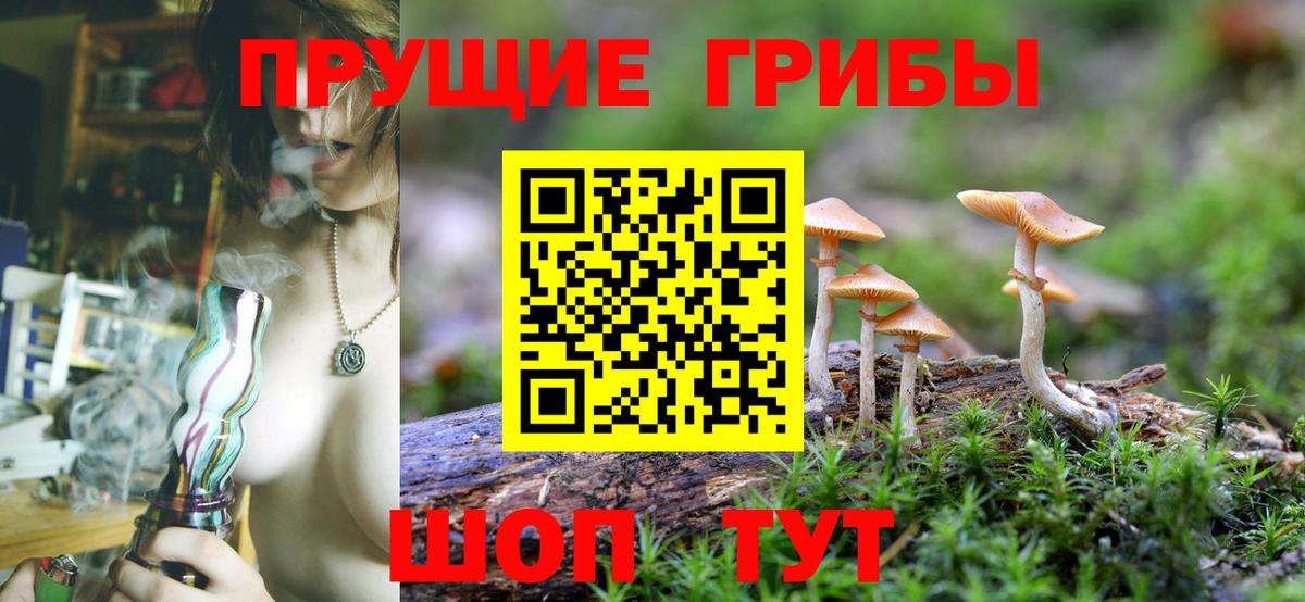 Псилоцибиновые грибы GOLDEN TEACHER  Псилоцибиновые грибы MAGIC MUSHROOMS  Россошь  Вход с VPN 