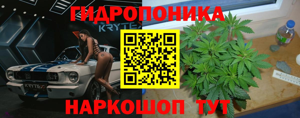 Конопля AK-47  Бошки Шишки марихуана  Россошь  Вход с VPN 